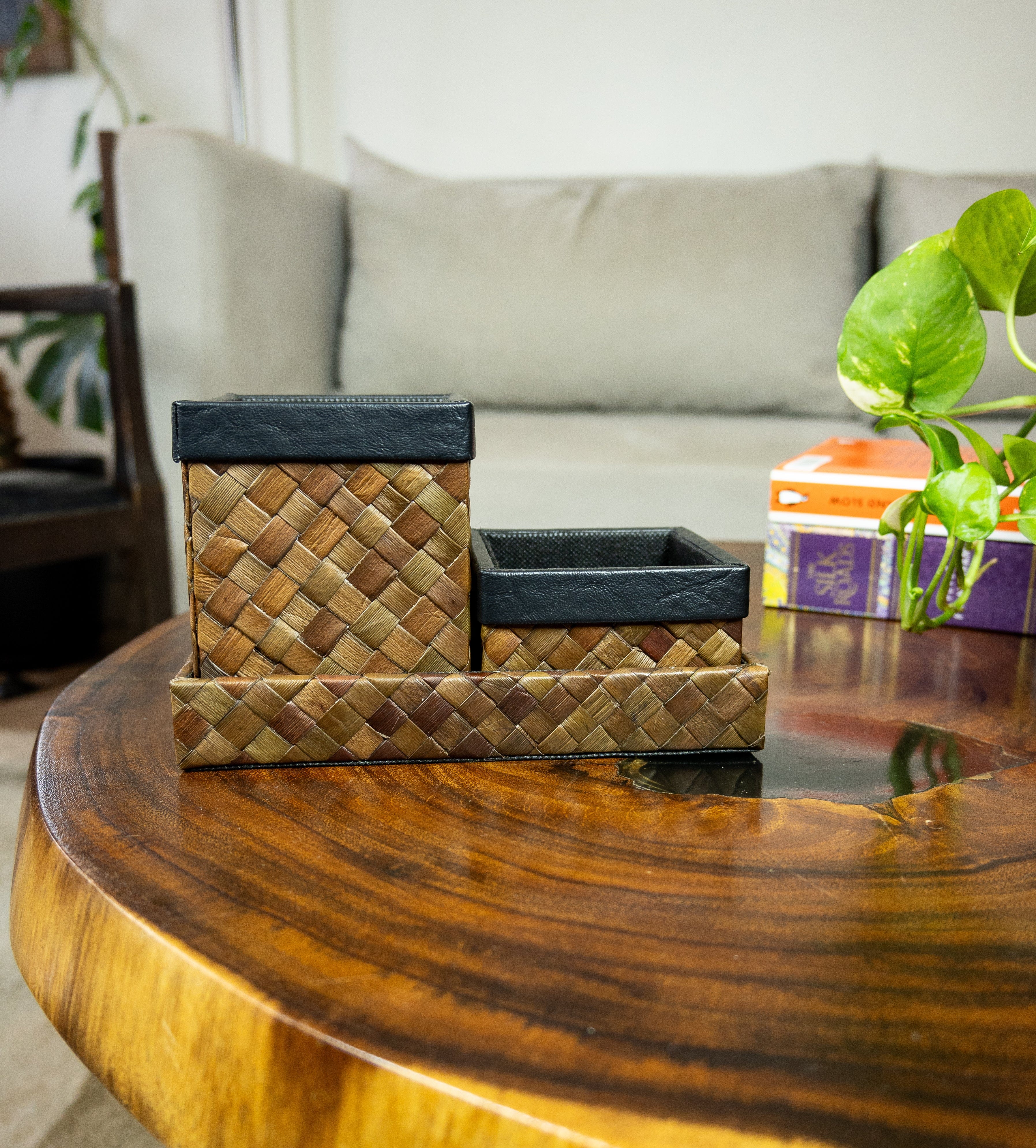 Desk Pen Remote Organizer in Brown Pandan