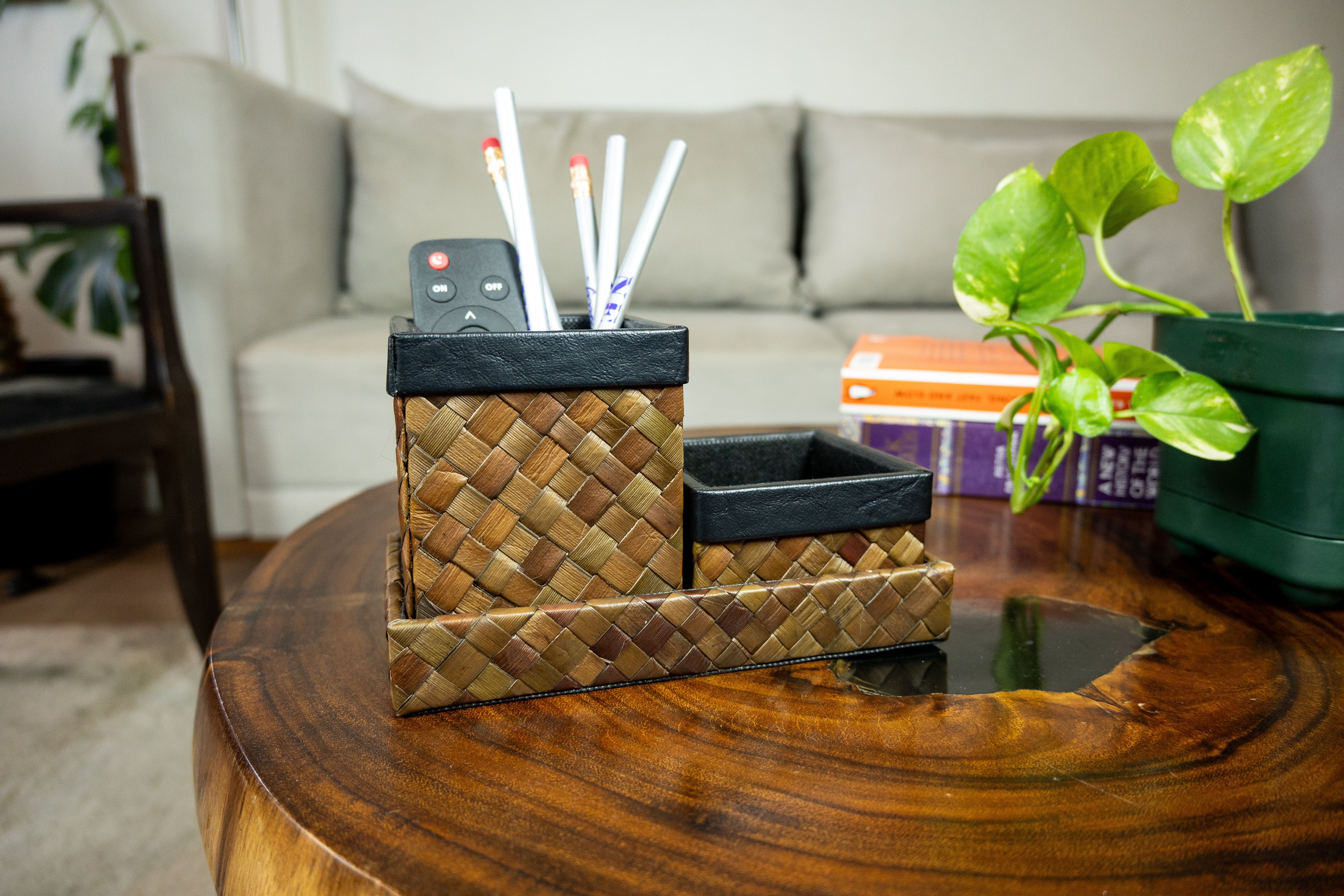 Desk Pen Remote Organizer in Brown Pandan