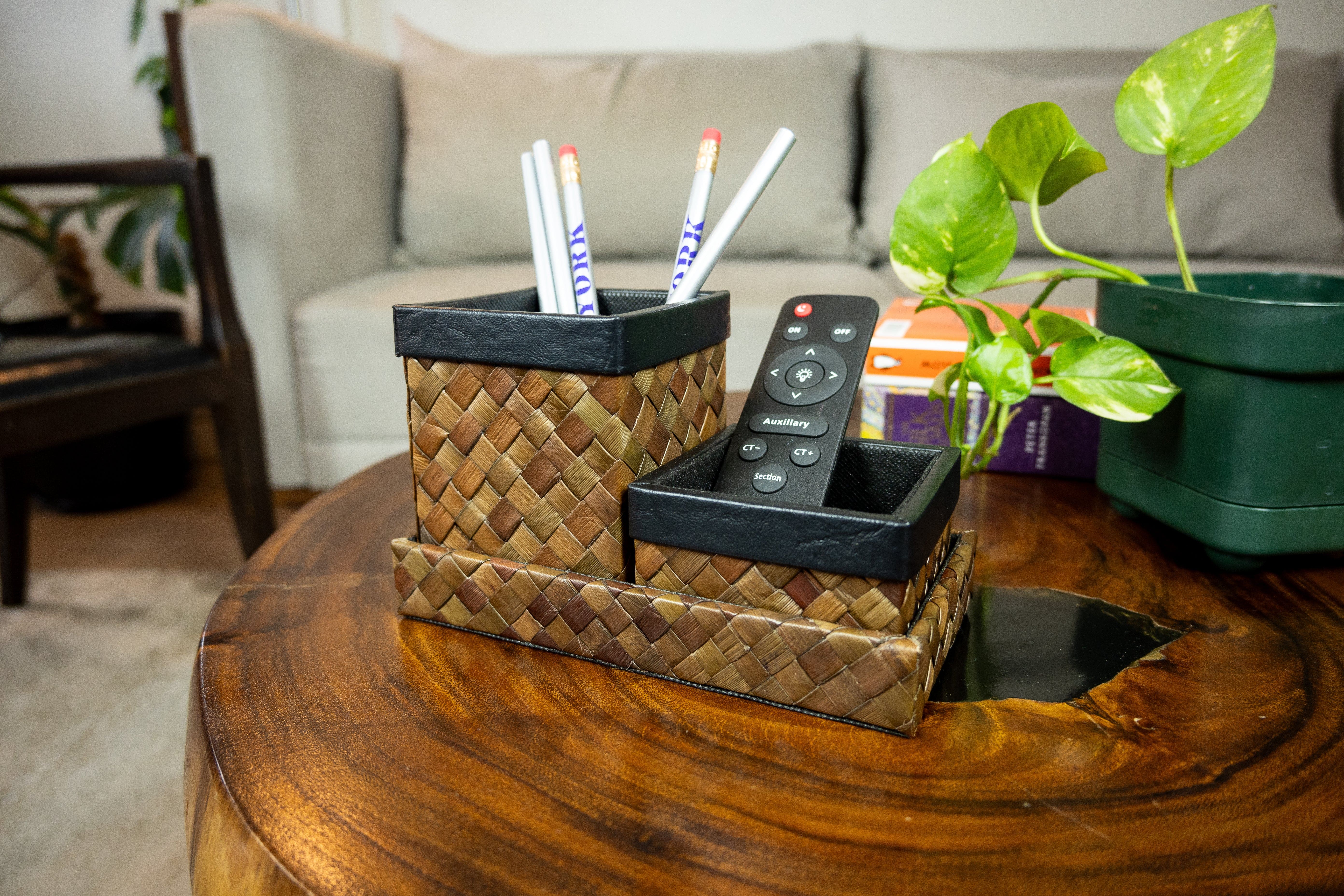 Desk Pen Remote Organizer in Brown Pandan