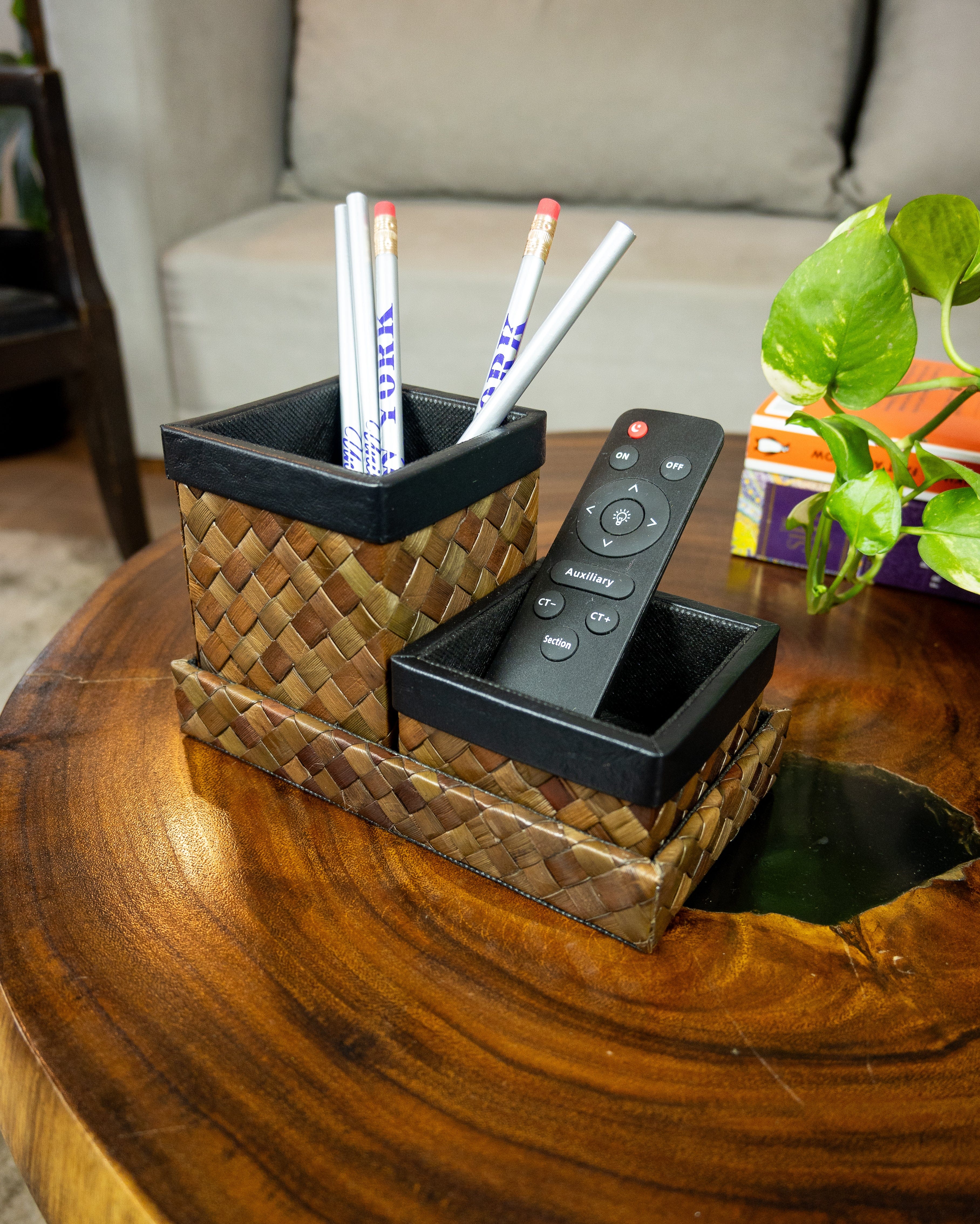 Desk Pen Remote Organizer in Brown Pandan
